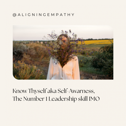  Episode 3 – Know Thyself aka Self-Awareness, the No 1 Leadership skill